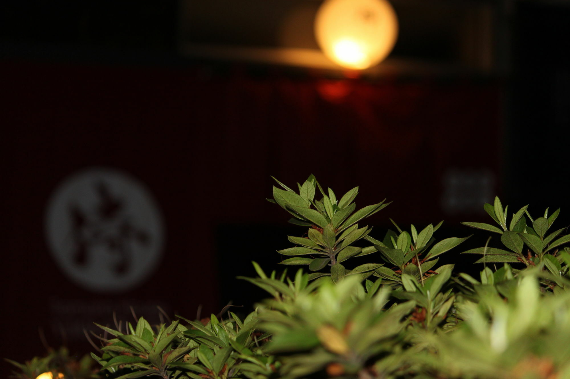 Samurai House Yukimura Tokyo Eksteriør billede